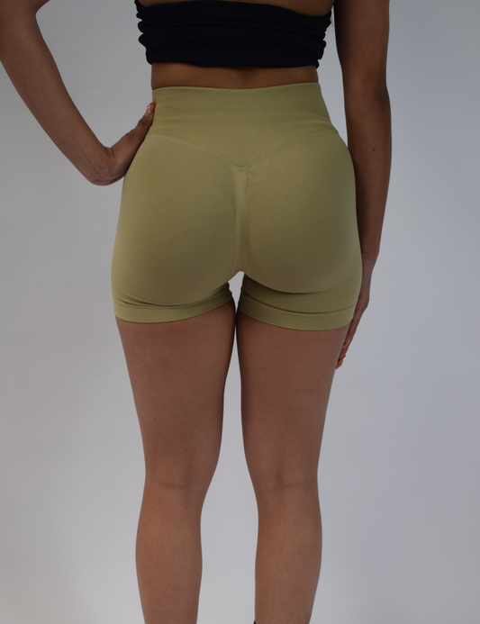 Ardor Short